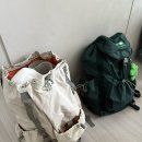 스위스 여행 출발부터 그린델발트 도착까지