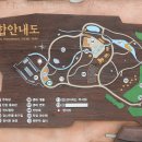 주남오리알 이미지