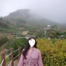 석출민박 | 남해여행코스 (알로하와이-카페루프탑-다랭이마을)