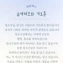 나라이브 이미지