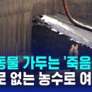 야생동물 가두는 '죽음의 덫'…탈출로 없는 농수로 여전 이미지