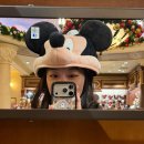 햄스팟 | 아이랑 상하이 디즈니랜드 ㅣ 주토피아 어트랙션 굿즈 포토스팟 퍼레이드까지 알차게 즐기고 온 후기