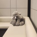 김비뇨기과의원 | 2026 임신 사전건강관리 지원사업 후기: 임신전 검사비 18만원 환급 (AMH 난소나이, 정자검사)