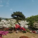 벧엘농원 네이버블로그