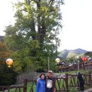 주안6동주민센터 이미지