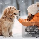 동물병원 누리에뜰 이미지