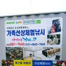 옥하마을 | 아이러브거제 거제도 선상체험낚시