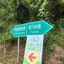 악양생태공원(숲속놀이터 옆) | 함안한달살기 _ 핑크뮬리 만개한 악양생태공원 / 악양생태학습체험장에서 수박빵만들기