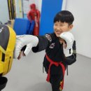 진접 주짓수 키즈 복싱의 참교육 공권유술 학원 방문후기