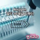 카스텍 이미지