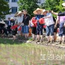 울산시청 이미지