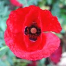 임암길11번길 이미지