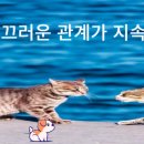 중한행정사 이미지