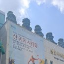 용인시박물관과 백남준아트센터 이미지