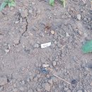 안이하우스 이미지