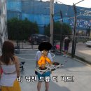 피디브로스 네이버블로그
