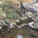 담양용대리석교 이미지