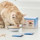 헤어펠리스 이미지