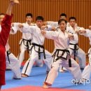 용인대 청목 mta 태권도 이미지