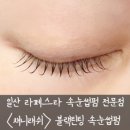 일산 라페스타 속눈썹펌 전문점 채니래쉬 블랙틴팅속눈썹펌