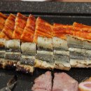 장어생각 이미지