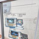 고성 다이노 캠핑장 | 경남 아이랑 갈만한곳 고성 다이노플레이센터 스카이워크