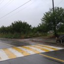 소로3-36 이미지