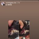 트레밍MM 이미지