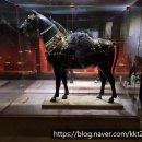규암공인중개사 | 이집트 여행 - 누비아 박물관 (Nubian Museum) 1편