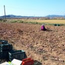 성근농장 이미지