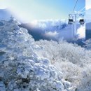 2020-12-29(화)강원도 정선 순백색의 산맥을 넘는 함백산 케이블카-함백산 눈꽃 기차여행(제천-사북역) 이미지
