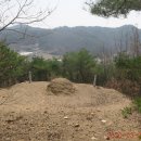 유금2리 이미지