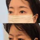 디자인 펌킨