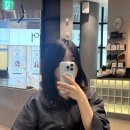 일산 탄현역 미용실 박승철헤어스투디오 | 허쉬컷 레이어드펌 꼼꼼한 시술 후기