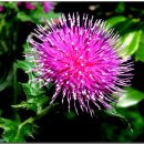 언제라도, 봄 이미지