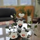 서부지방산림청(정읍국유림관리소) 이미지