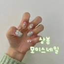 봄스네일 이미지
