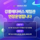 솔향유치원 | [강릉여행] 4살, 9살 함께한 강릉여행 : 디코이덕 - 솔향수목원(숲 해설) - 강릉메타버스체험관 - 경포대