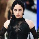 스타빌리 이미지