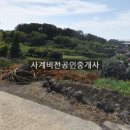 사계비전공인중개사사무소 네이버블로그