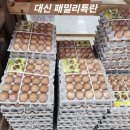늘찬계란 이미지
