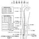 [足陽明胃經][족양명위경] 이미지