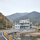 남해-310 이미지