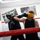 복싱트라이브 이미지