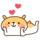 댕기아리아