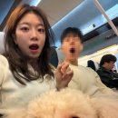 사건사고 주의
