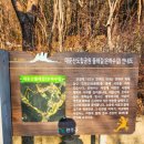 대둔산은하수길 이미지