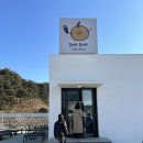 배배농장 | [강원/양양/젤라또] 직접 농사지은 배로 만든 젤라또..? 귀하다 - 배배 젤라또