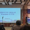 다우정밀 이뉴스투데이