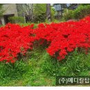 익산연합내과영상의학과의원 이미지